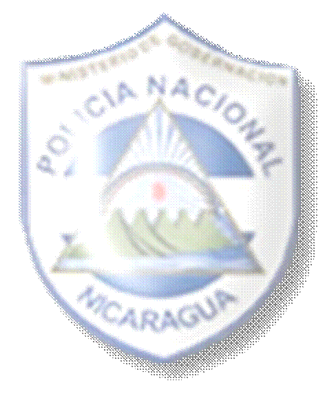 logopolicia